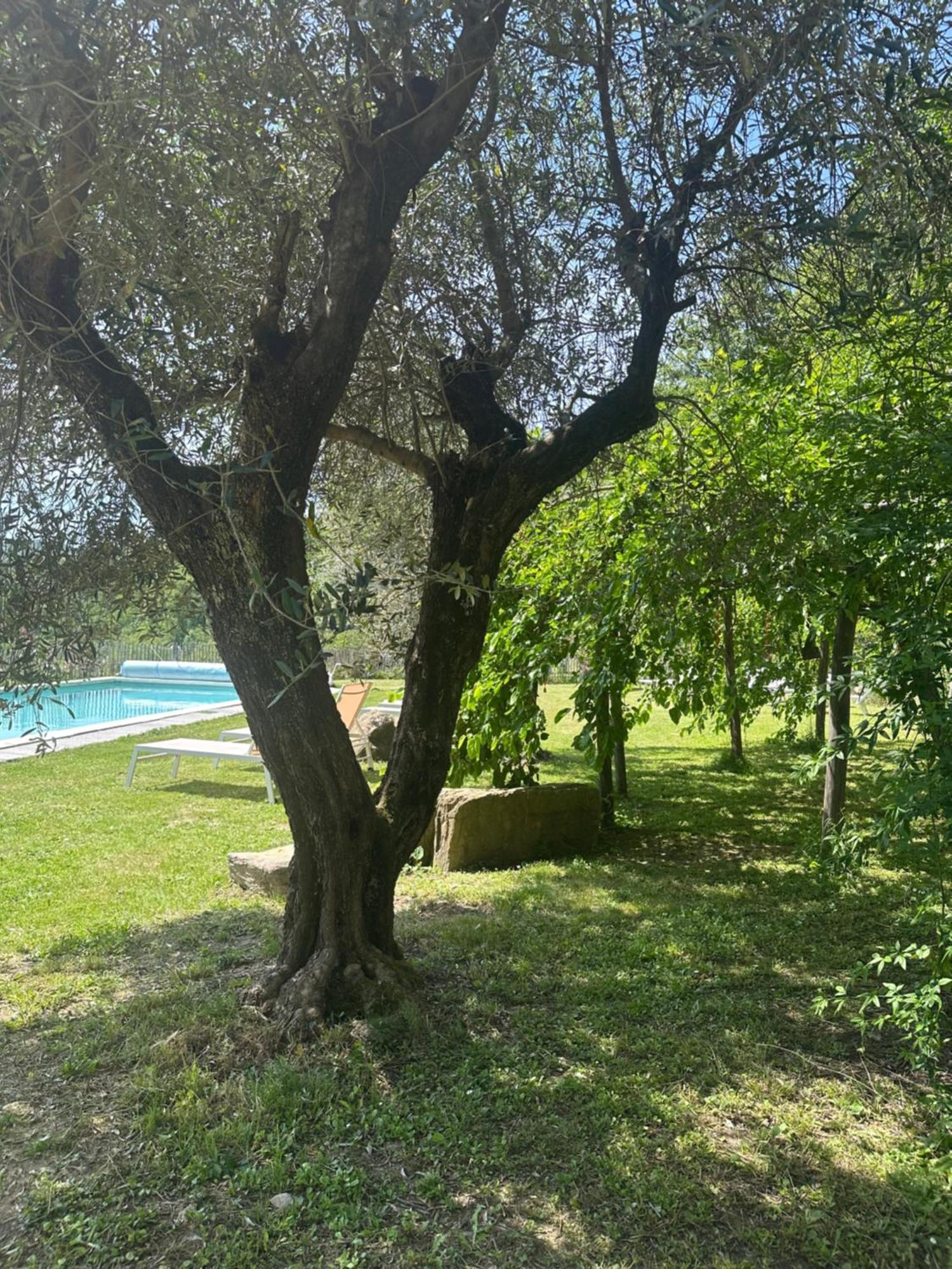 Collina Di Sopra Villa Tresana Bagian luar foto