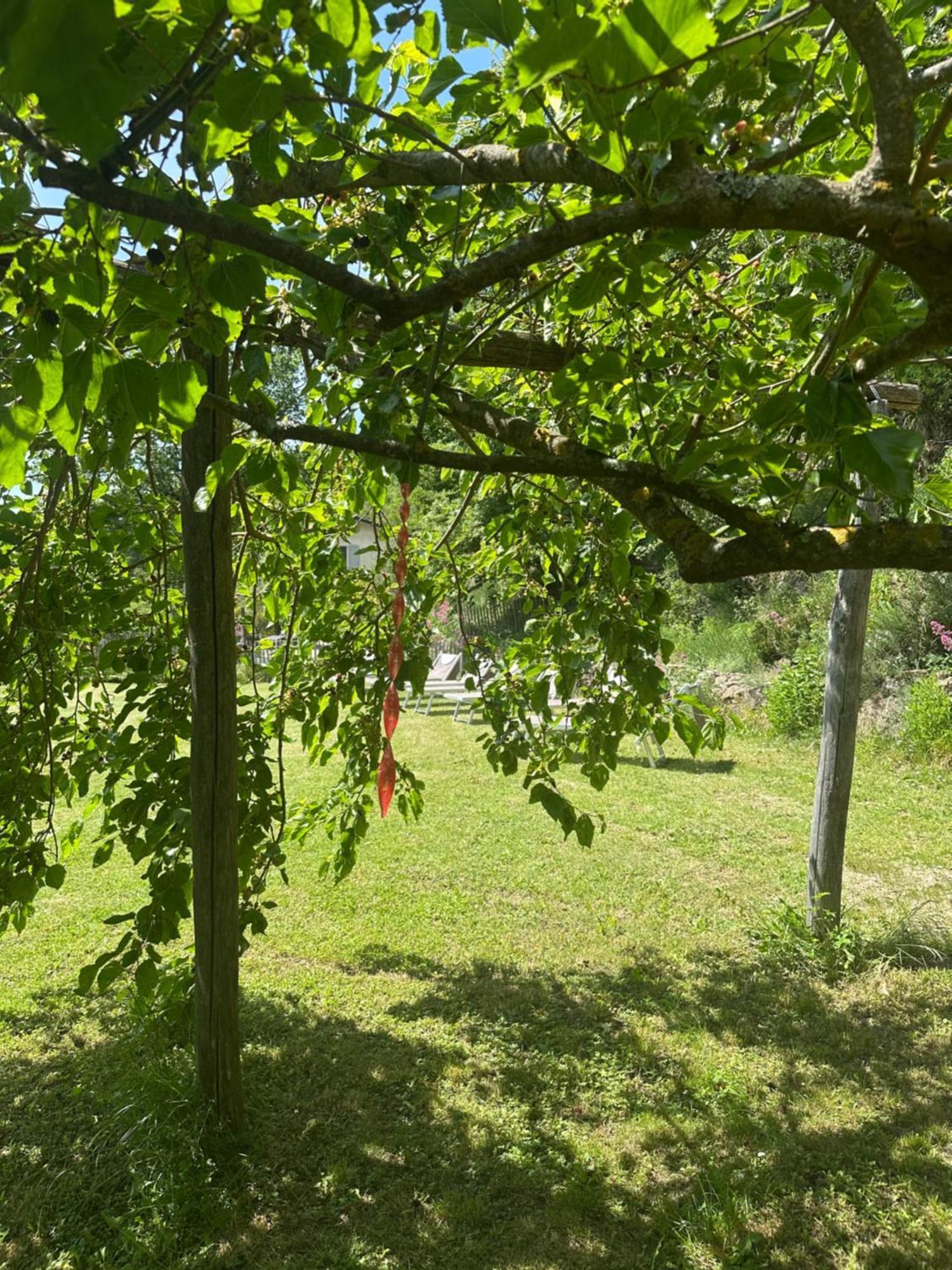 Collina Di Sopra Villa Tresana Bagian luar foto