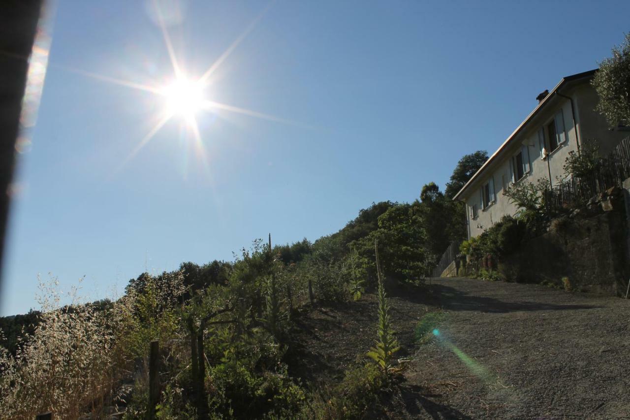 Collina Di Sopra Villa Tresana Bagian luar foto